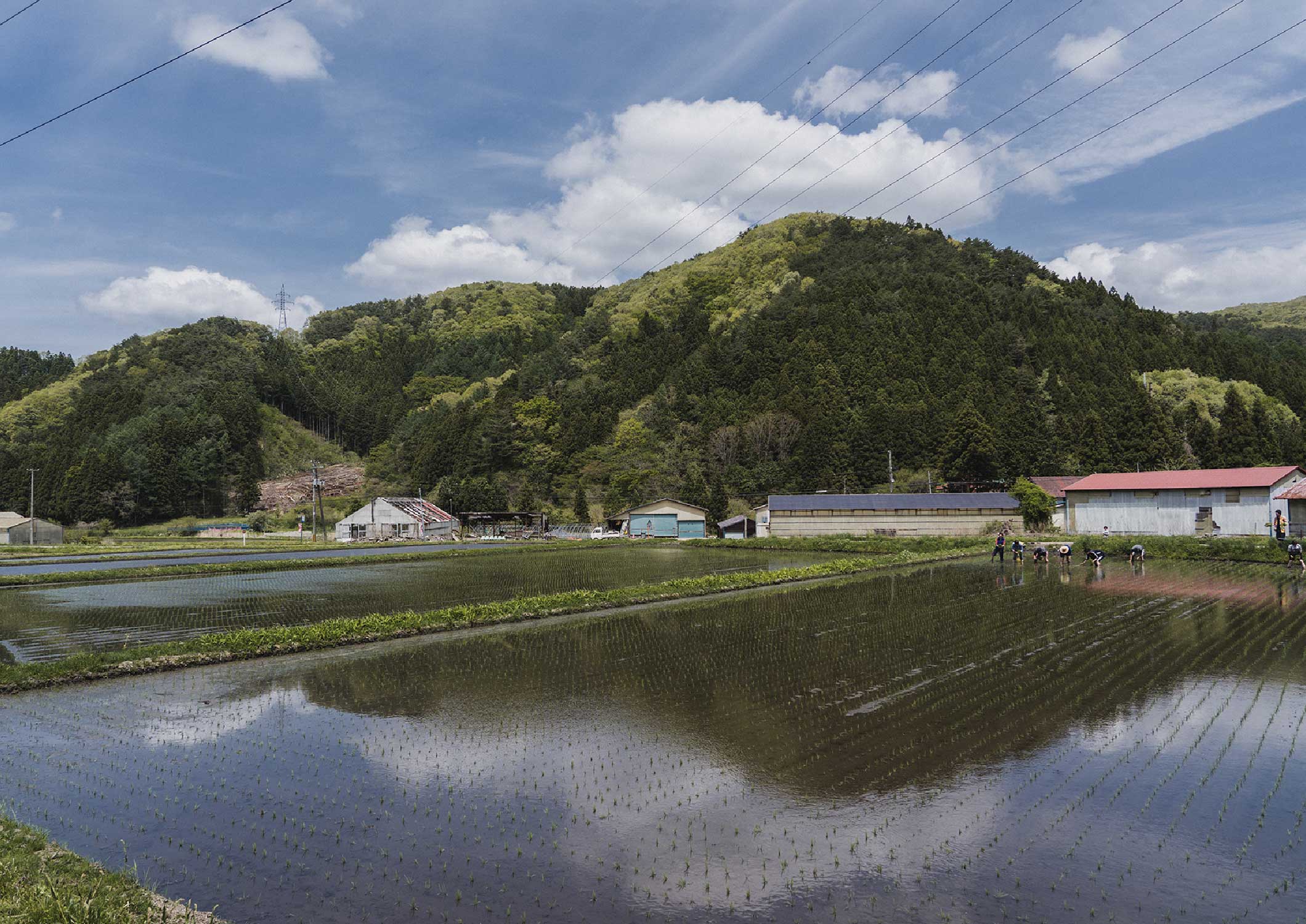 山と田んぼ